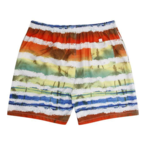 Badeshorts m. print (Mangefarvet) - Ed Baxter